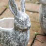 Gallery Direct Gallery Direct Bunny Pot Small Distressed White