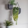 Gallery Direct Gallery Direct Hanging Philodendron Bush Small
