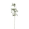 Gallery Direct Gallery Direct Variegated Ficus Stem Green