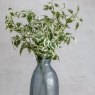 Gallery Direct Gallery Direct Variegated Ficus Stem Green