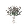 Gallery Direct Gallery Direct Eucalyptus Spray