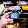 Salter Leave-In Digital Thermometer being used on some meat that's cooking on the bbq
