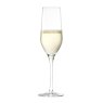 Stozle Olly Smith Set of 4 Flutes - glass of champagne