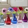 Floralsilk Alfresco Anemone Assortment Colours each in a glass vase