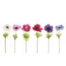 Floralsilk Alfresco Anemone Assortment Colours different colours on a white background
