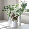Floralsilk Grey Green Lambs Ear Spray in a white vase with other plants