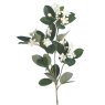 Floralsilk White Stephanotis on a white background