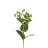 Floralsilk Cream Green Hypericum on a white background