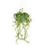 Floralsilk Hanging Button Leaf Trailer Pot on a white background