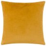 Paoletti Ledbury Cushion Gold reverse