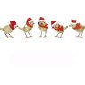 DCUK Traditional Christmas Birds image of all the birds on a white background