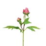Floralsilk Dark Pink Peony Bud image of the peony bud on a white background