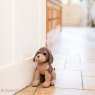 Dora Designs Bentley Cockapoo Doorstop lifestyle image of the doorstop