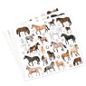 Miss Melody Horses Colouring Book image of the sticker pages on a white background