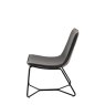 Gallery Direct Charcoal Hawking Lounge Chair side on image of the chair on a white background