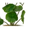 Kaemingk Lotus Leaf Plant in a Pot Leaf Detail