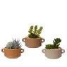 Kaemingk Succulent in a Terracotta Pot Group