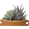 Kaemingk Succulent in a Terracotta Pot Leaf Detail