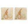 The Humble Hare Coaster Pair