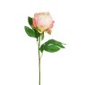 Floralsilk Pink Hybrid Peony Bud image of the flower on a white background
