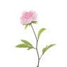 Floralsilk Pink Single Peony image of the flower on a white background