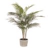 Floralsilk Palm Tree In Ceramic Pot image of the plant on a white background