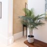 Floralsilk Palm Tree In Ceramic Pot lifestyle image of the plant