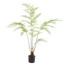 Floralsilk Tree Fern In Pot image of the plant on a white background