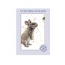 Otter House Bugsy & Bumble Pack Of 6 Mini Notecards image of the notecards in packaging on a white background
