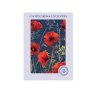 Otter House Watercolour Poppies Pack Of 6 Mini Notecards image of the notecards in packaging on a white background