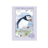 Otter House Puffin Pack Of 6 Mini Notecards image of the notecards in packaging on a white background