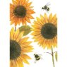 Otter House Beautiful Sunflower Blooms Pack Of 6 Mini Notecards image of the notecard on a white background