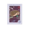 Otter House RSPB Peeping Hedgehog Pack Of 6 Mini Notecards image of the notecards in packaging on a white background