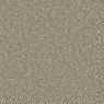 Pale Oak