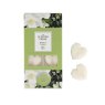 Ashleigh & Burwood Jasmine And Tuberose Pack Of 8 Wax Melts image of the wax melts in packaging on a white background