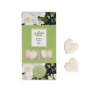 Ashleigh & Burwood Jasmine And Tuberose Pack Of 8 Wax Melts image of the wax melts in packaging on a white background