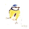 Museums & Galleries Alison's Ark British Wildlife Pack of 16 Notecards