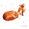 Museums & Galleries Alison's Ark British Wildlife Pack of 16 Notecards