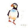 Museums & Galleries Alison's Ark British Wildlife Pack of 16 Notecards
