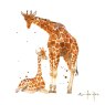 Alison's Ark British Exotic Pack Of 16 Notecards design 2