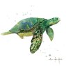 Alison's Ark British Exotic Pack Of 16 Notecards design 4