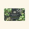 The English Soap Company Christmas Tidings Frosted Fir & Holly Soap