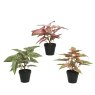 Kaemingk Kaemingk Faux Potted Plant