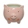 Kaemingk Kaemingk Dolomite Animal Planter