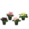 Kaemingk Kaemingk Faux Flowers in Pot