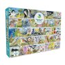 Gibsons RSPB Birdsong & Bluebells 1000 Piece Puzzle box