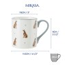 Mikasa Can Mug Hare specifications
