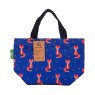 Navy Foxes