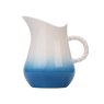 The Coast The Coast Large Jug