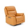 Premier Lancaster Power Recliner Chair